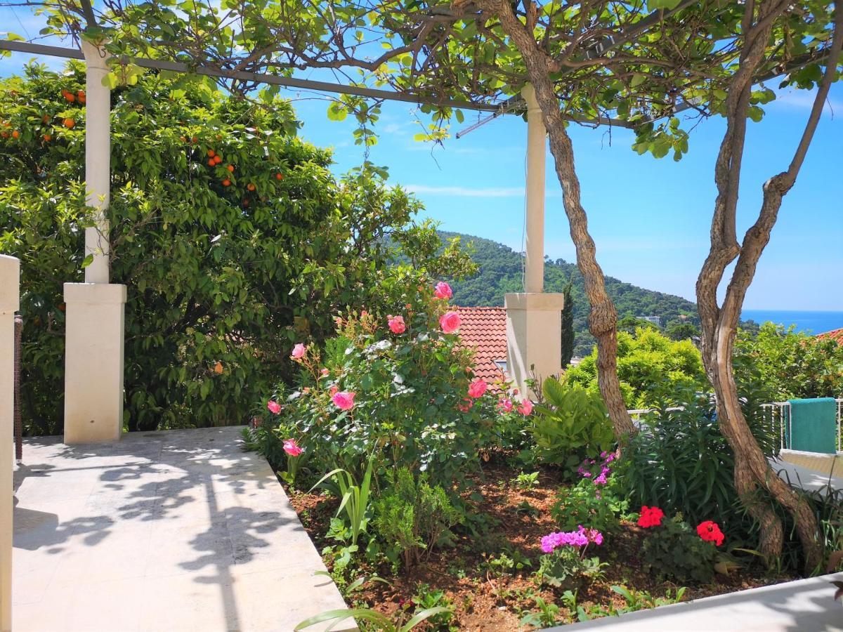 Beautiful Sea View Apartments Dubrovnik Ngoại thất bức ảnh